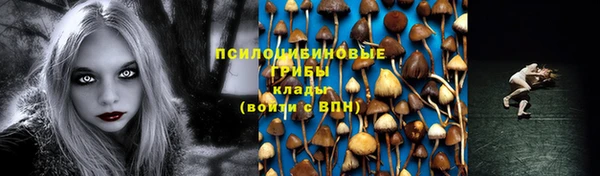 СК Пестово