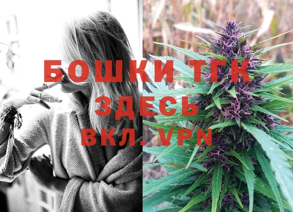 PSILOCYBIN Пересвет