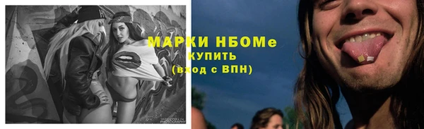 PSILOCYBIN Пересвет