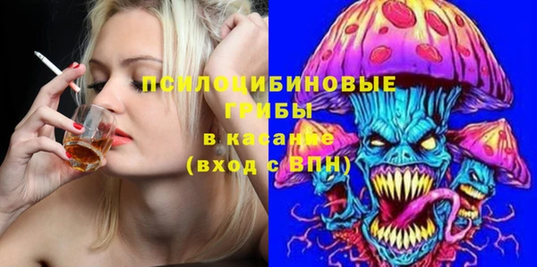 PSILOCYBIN Пересвет