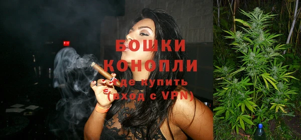 PSILOCYBIN Пересвет