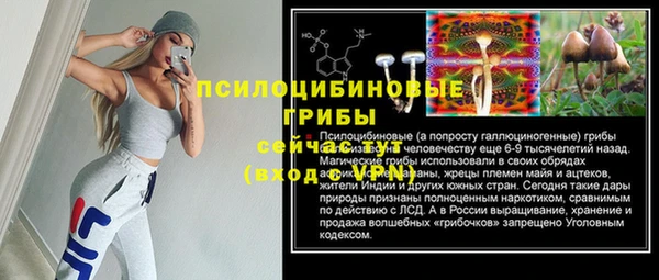 прущие крисы Переславль-Залесский