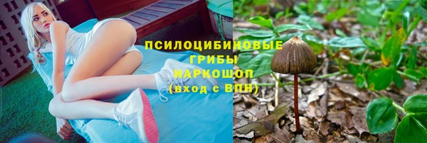 СК Пестово